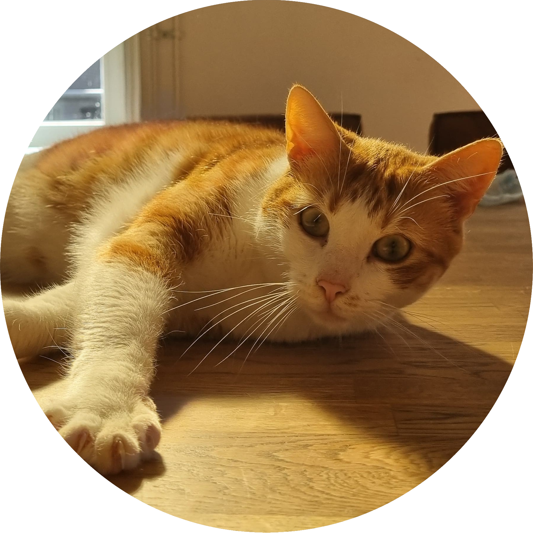profile photo of admiralGC